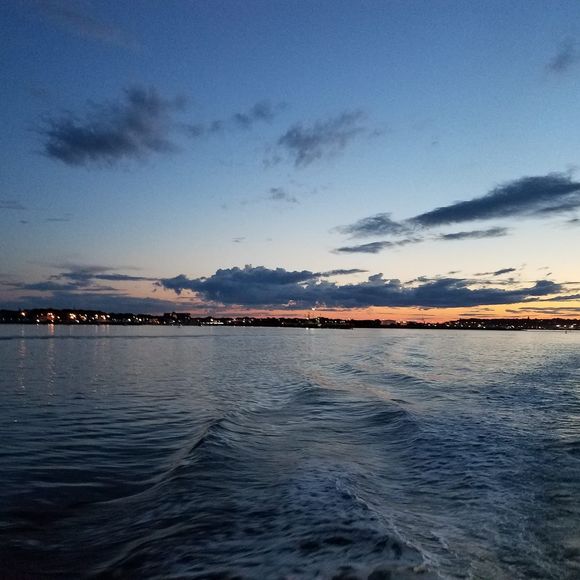 Meet your Posher, Elaine - Picture 1 of 1